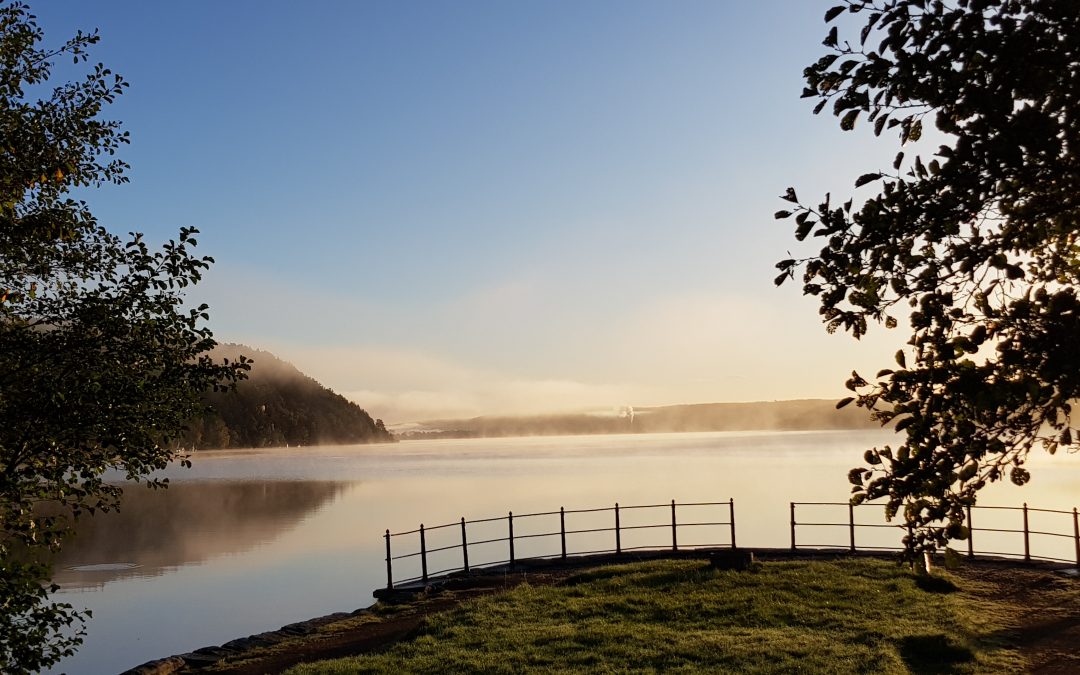Vi har flyttat kontoret!