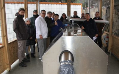 Composting at MEF Schools, Istanbul, Turkey