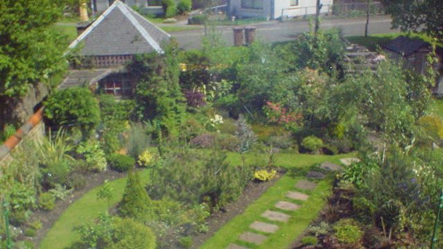 Fördelarna med att använda kompost – faktablad från European Compost Network