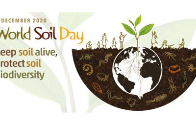 5th of December – The World Soil Day
